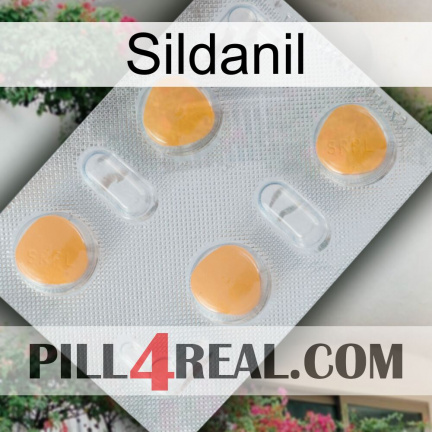 Sildanil 24